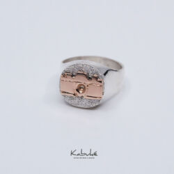 Anillo circular profesiones