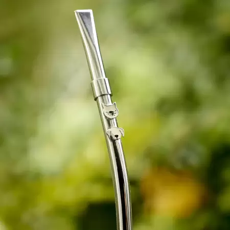 Bombilla cabeza de Gato o Perro