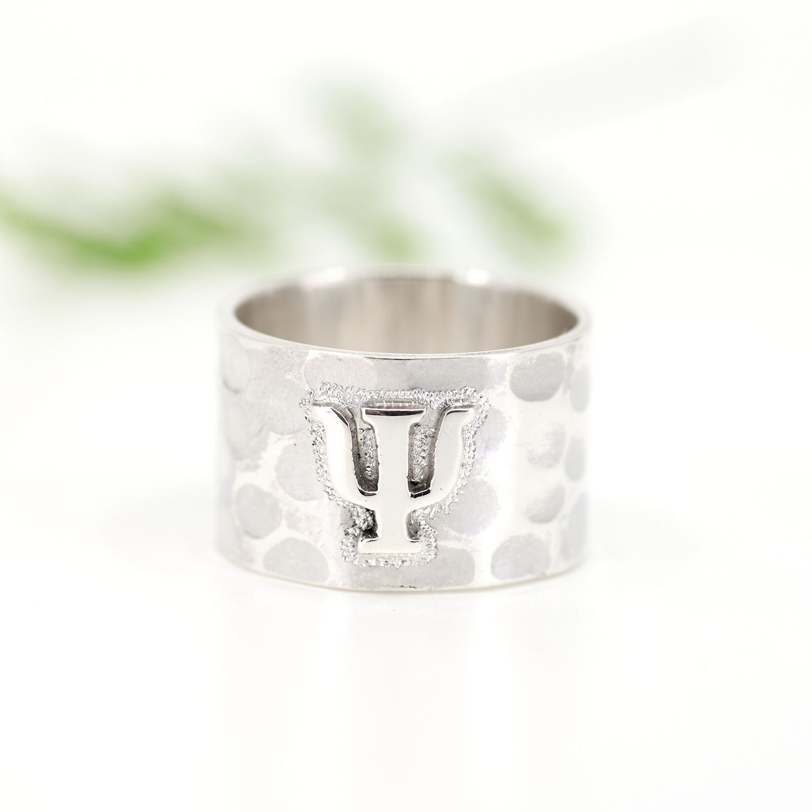 Anillos con Profesiones