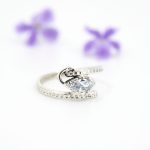 Anillo clasic I