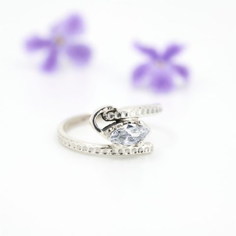 Anillo clasic I
