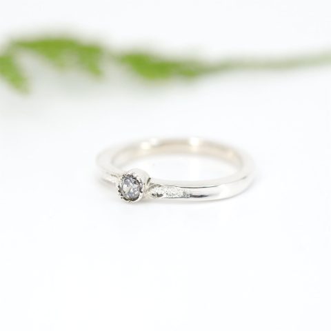 Anillo clasico II