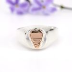 Anillo circular profesiones
