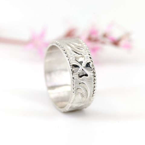 Anillo trama